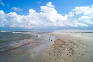 Sail & Bike Wadden Sea Adventure - Van Gogh Tours - Bike & Sail Boat - The Netherlands - Friesland