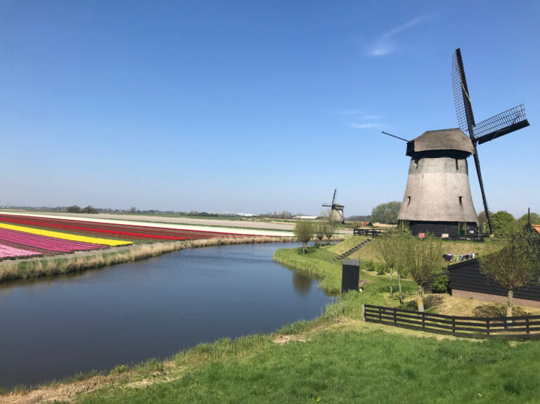 Tulips & Postcards - Van Gogh Tours - Guided Bike Tour