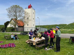 Tulips & Postcards - Van Gogh Tours - Guided Bike Tour