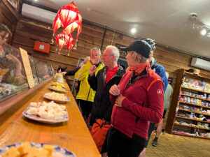 Tulips & Postcards - Van Gogh Tours - Guided Bike Tour