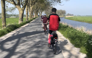 Tulips & Postcards - Van Gogh Tours - Guided Bike Tour