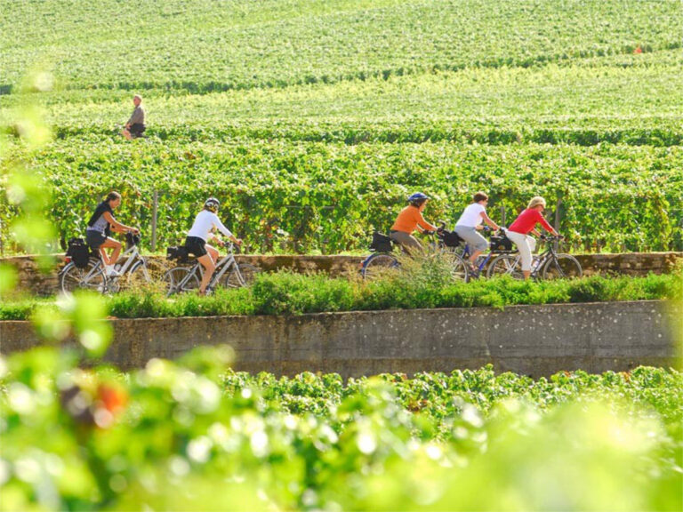 Northern Burgundy Bike and Barge Tour | France | Van Gogh Tours