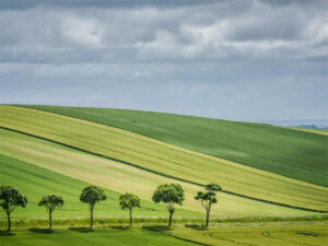 Northern Burgundy Bike and Barge Tour | France | Van Gogh Tours