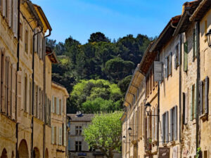 Northern Burgundy Bike and Barge Tour | France | Van Gogh Tours