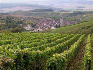 Northern Burgundy Bike and Barge Tour | France | Van Gogh Tours