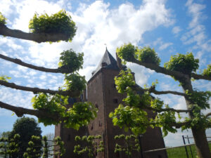 Best of Belgium | Bike and Barge | Van Gogh Tours