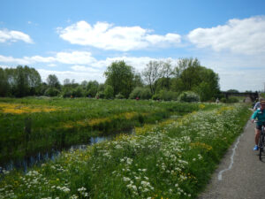 Best of Belgium | Bike and Barge | Van Gogh Tours