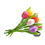 Tulpen